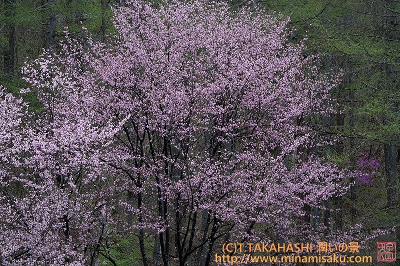 ../Images/7R250426 (1).jpg